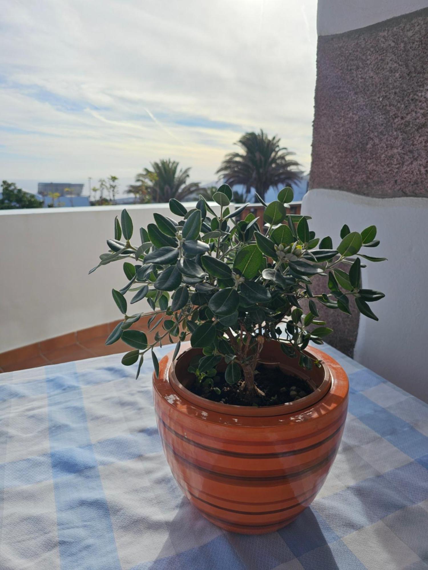 Casa Layka, Con Maravillosas Vistas Al Mar La Asomada  Kültér fotó